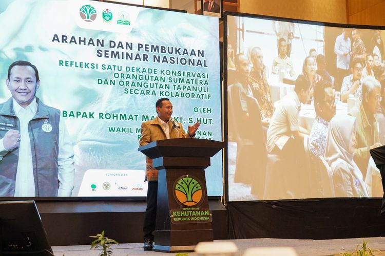 Kementerian Kehutanan Ungkap Hasil Survei Terbaru, Perkuat Kolaborasi Konservasi Orangutan Sumatera dan Orangutan Tapanuli