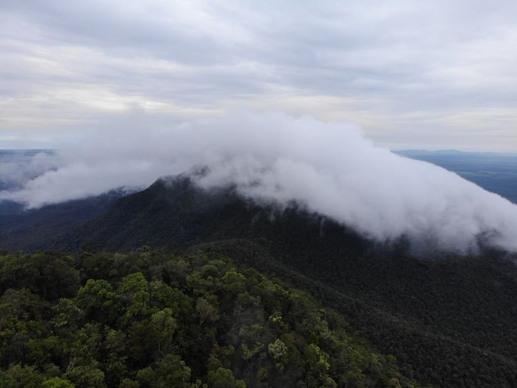 Taman Nasional Gunung Maras Memasuki Satu Dekade Perjalanan Konservasi