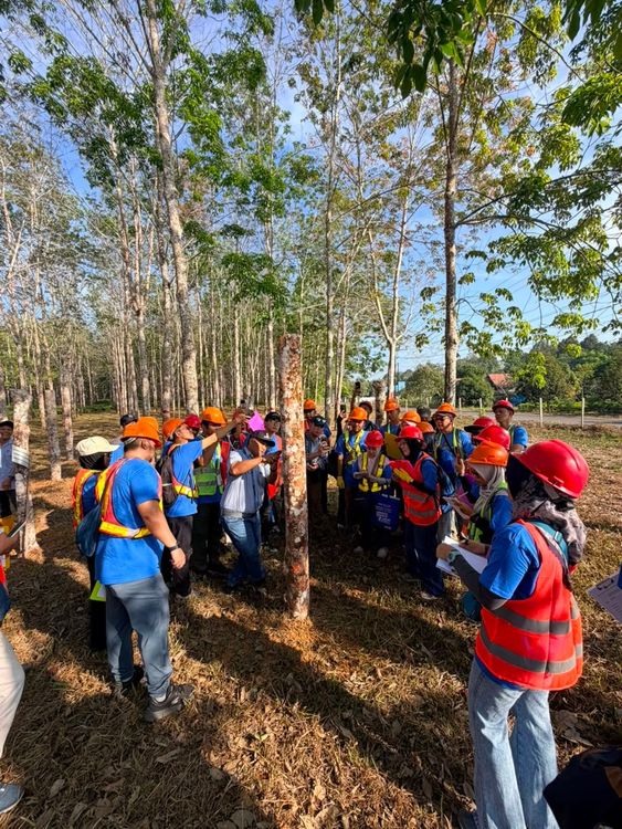 Kemenhut Tingkatkan Kapasitas SDM Masyarakat Hutan melalui Diklat GANISPH Pemanfaatan HHBK Kelompok Getah