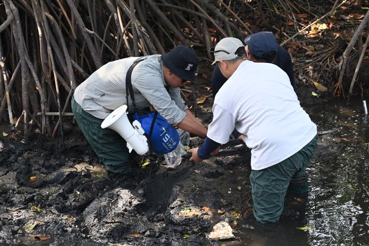 Perkuat Tata Kelola Kehutanan Berbasis Data, Kementerian Kehutanan Implementasikan Inventarisasi Hutan Nasional (IHN) 2.0