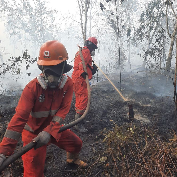 hotspot-nasional-turun-56-persen-pengendalian-karhutla-tetap-diperkuat