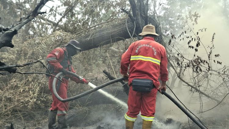 hotspot-meningkat-kemenhut-perkuat-operasi-karhutla-dan-pemantauan-dampak-asap