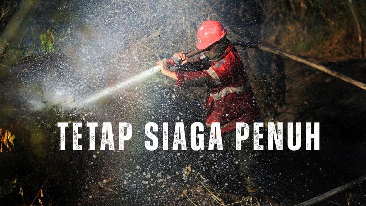 Riau Zero Hotspot, Kemenhut Terus Perkuat Pengendalian Karhutla Kalimantan