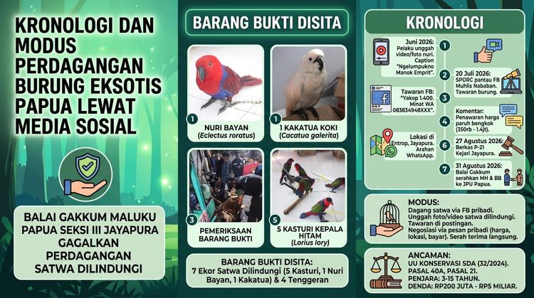 Modus Transaksi COD Burung Eksotis Papua di Medsos Terbongkar, Pelaku Kini Terancam 15 Tahun Penjara