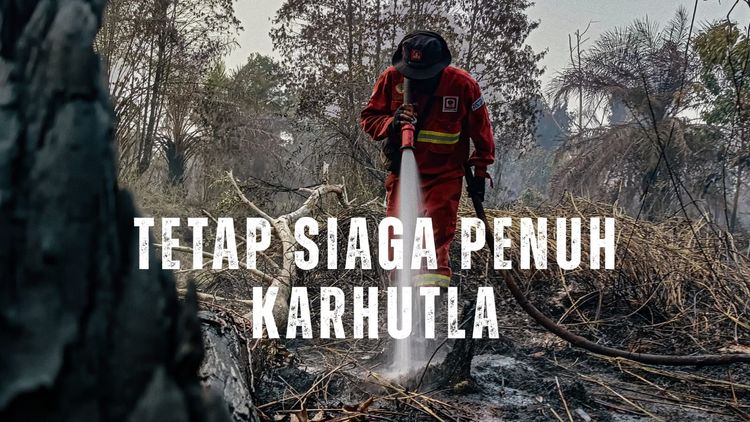 Zona Merah Turun Drastis, Kemenhut Terus Fokus Operasi Karhutla
