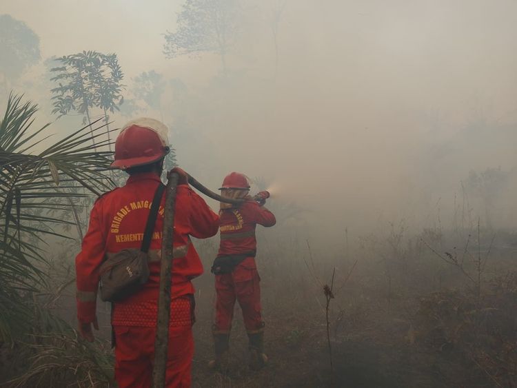 Hotspot Sumsel Turun 49 Persen, Pengendalian Kalteng-Kalbar Diperkuat