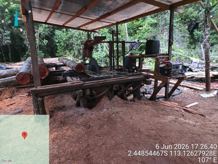 Aksi Kemenhut Ungkap dan Tangkap DPO Pemodal Illegal Logging Kalteng