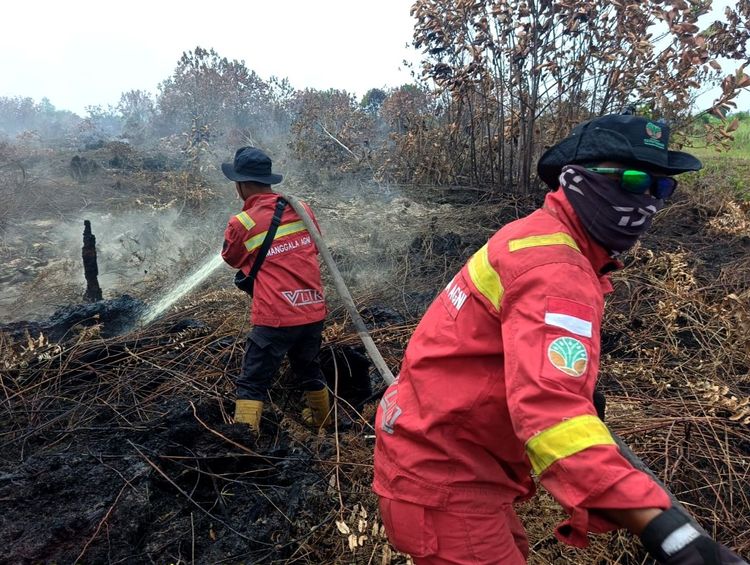 kalsel-nihil-hotspot-karhutla-pengendalian-kalbar-dan-kalteng-diperkuat