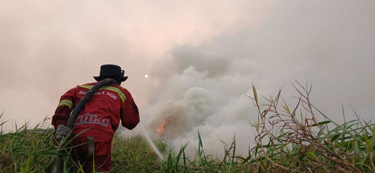 Data Terbaru Kemenhut: Hotspot Karhutla di Kalteng-Kalbar Turun Tajam