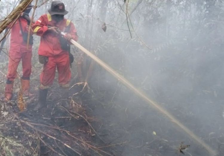 Hotspot Nasional Meningkat, Kemenhut Perkuat Respons Cepat dan Operasi Darat-Udara