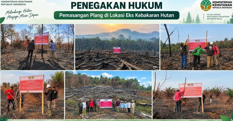 Data Lengkap Penanganan Kasus Karhutla Kemenhut, Sanksi Tegas Menanti