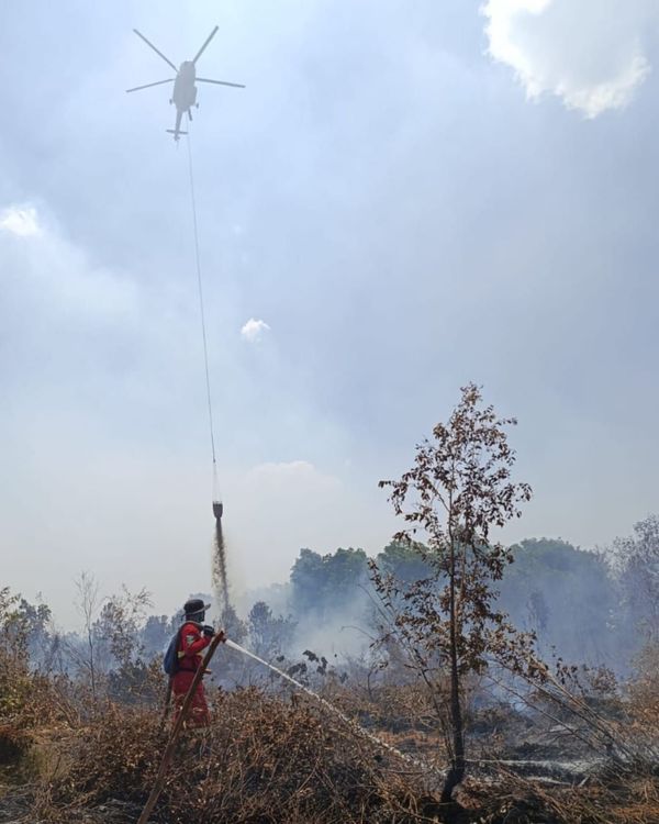 Kemenhut Terus Bergerak: Personel Dikerahkan, Pemadaman Berjalan, Pelanggar Ditindak