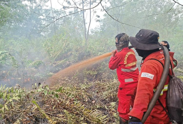 Hotspot Nasional Turun, Riau Nihil, Pengendalian Sumsel Diperkuat