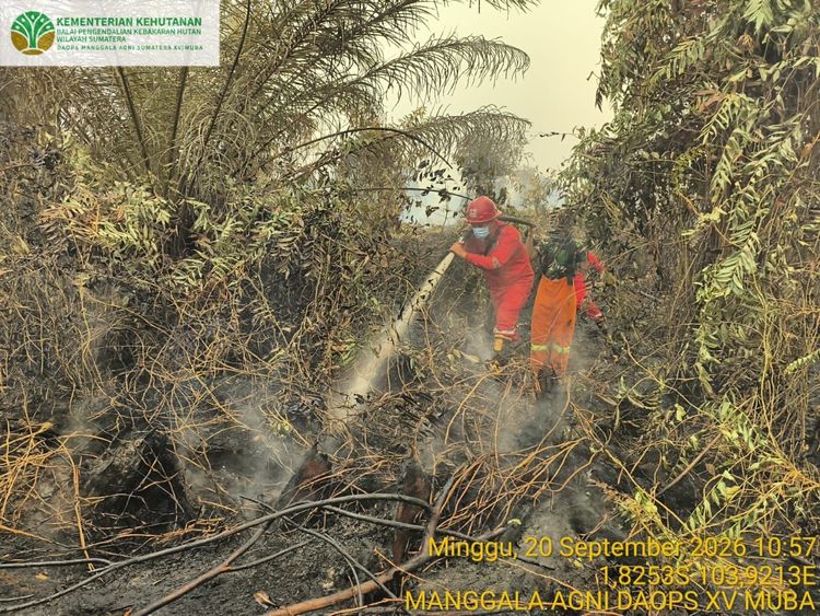 Pengendalian Karhutla Kalteng-Sumsel Diperkuat; 64 Armada Udara Dikerahkan