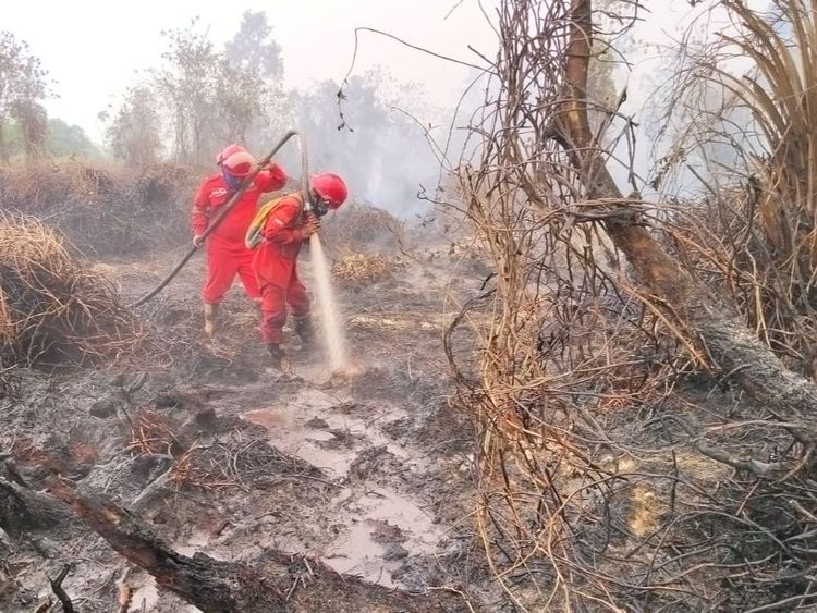 Hotspot Nasional Turun 844 Titik, Menhut-Kepala BNPB Perkuat Pengendalian di Kalteng