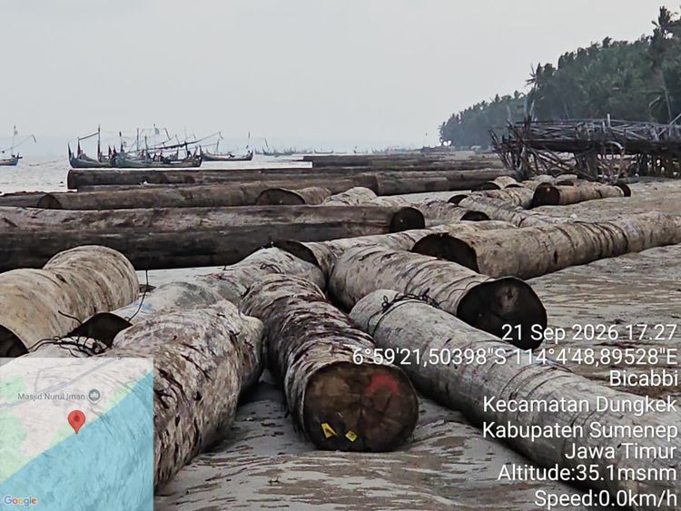 Kemenhut Telusuri Asal Usul 697 Batang Kayu Log Hanyut di Perairan Sumenep