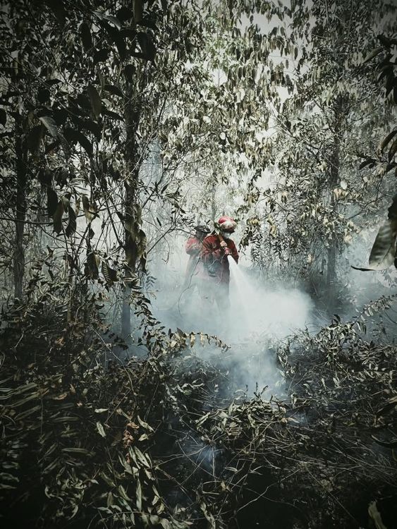 Hotspot Nasional Turun 588 Titik, Menhut-Kepala BNPB Perkuat Operasi Darat di Kalimantan Selatan