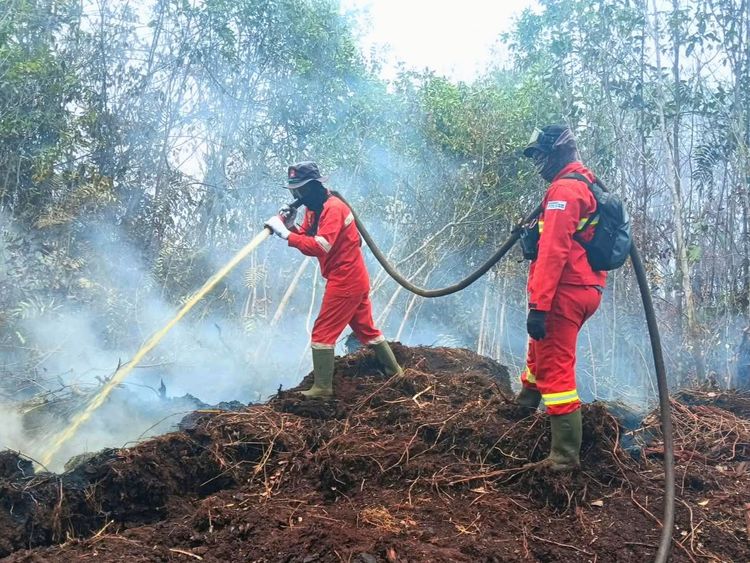 riau-jambi-nihil-hotspot-karhutla-pengelolaan-gambut-diperkuat-1