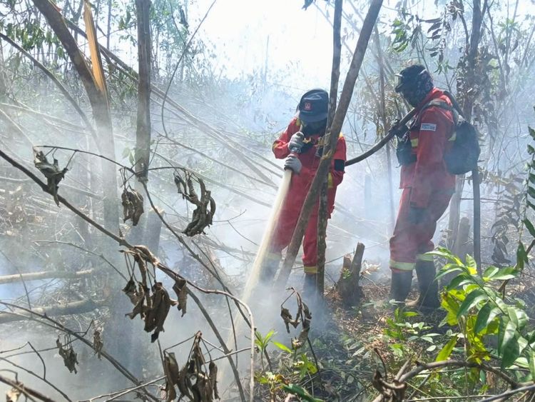Hotspot Nasional Turun 362 Titik, Pengendalian Karhutla Terus Diperkuat