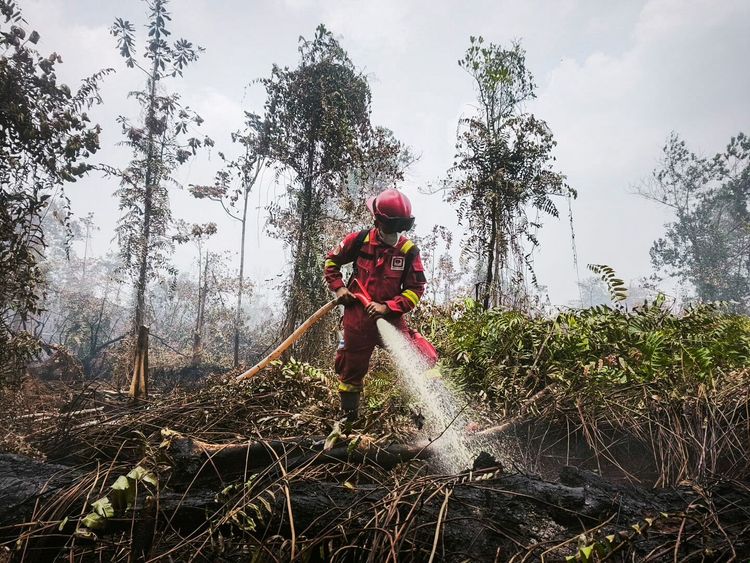 Hotspot Nasional 559 Titik, Kemenhut Perkuat Pengendalian di Kalimantan Tengah