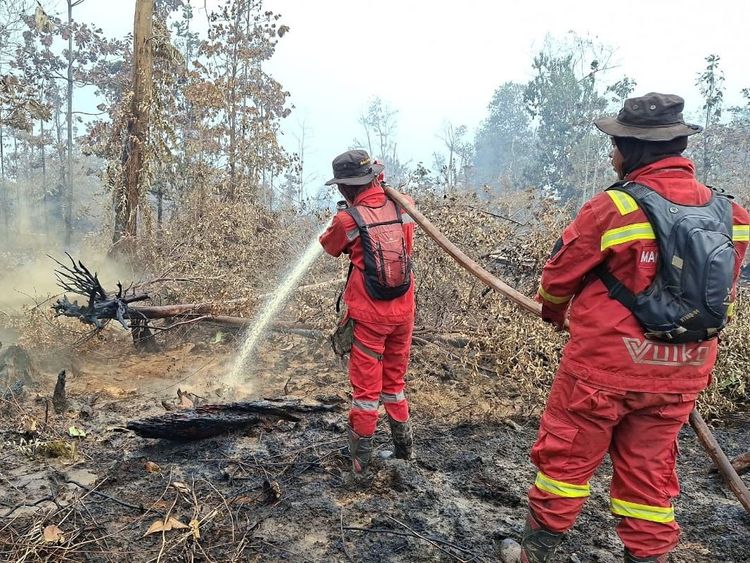 hotspot-nasional-turun-signifikan-pengendalian-sumsel-kalteng-diperkuat-1