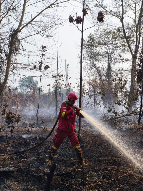 Hotspot High Confidence Meningkat, Kemenhut Perkuat Respons Lapangan dan Perlindungan Satwa Liar
