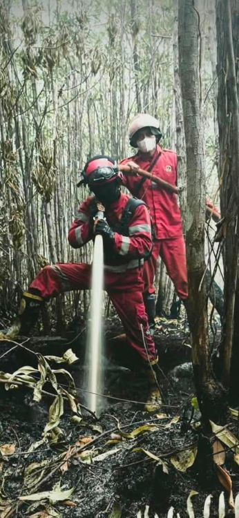 Kemenhut Perkuat Operasi Udara-Darat Hadapi Dinamika Hotspot Karhutla