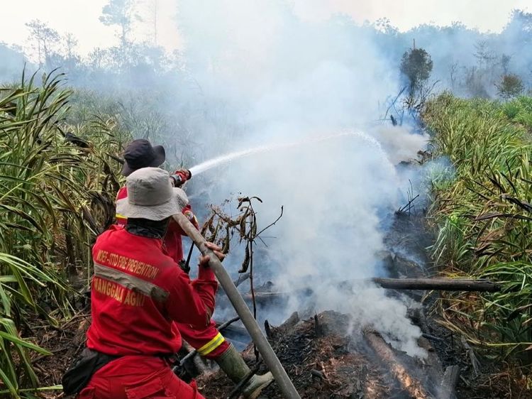 hotspot-nasional-turun-605-titik-kemenhut-pertahankan-operasi-karhutla-di-wilayah-prioritas