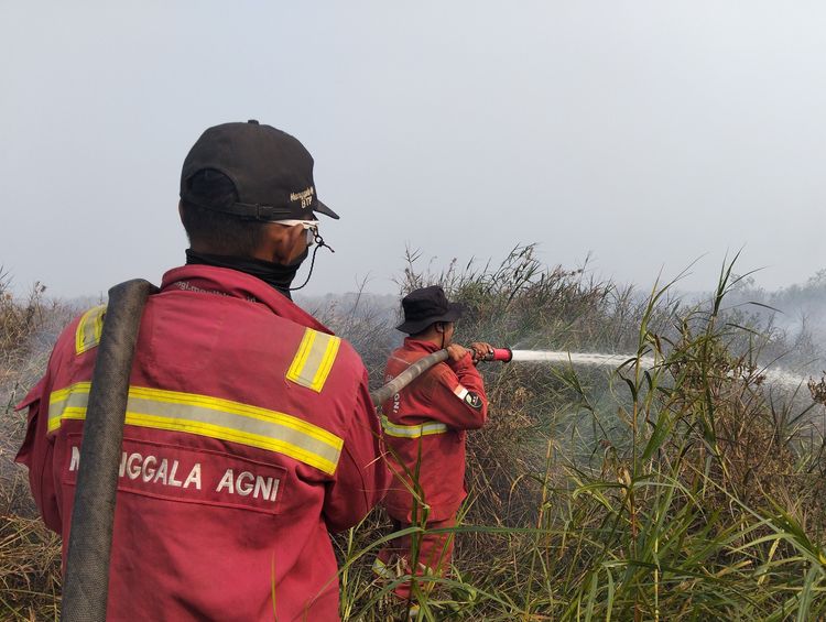 Hotspot Nasional Turun 139 Titik, Kemenhut Tetap Jaga Kesiapsiagaan Karhutla di Wilayah Prioritas
