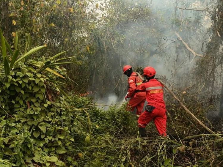 Hotspot Nasional Meningkat, Kemenhut Perkuat Operasi Pengendalian Karhutla