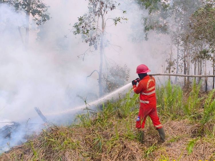 hotspot-turun-158-titik-kemenhut-fokus-operasi-karhutla