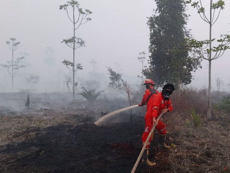 Kemenhut Fokus Pantau Hotspot Karhutla Kalimantan Tengah