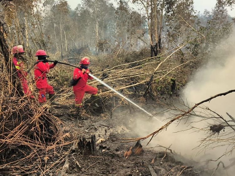 kemenhut-perkuat-operasi-di-kalimantan-tengah-dan-jaga-kewaspadaan-di-sumatera-selatan