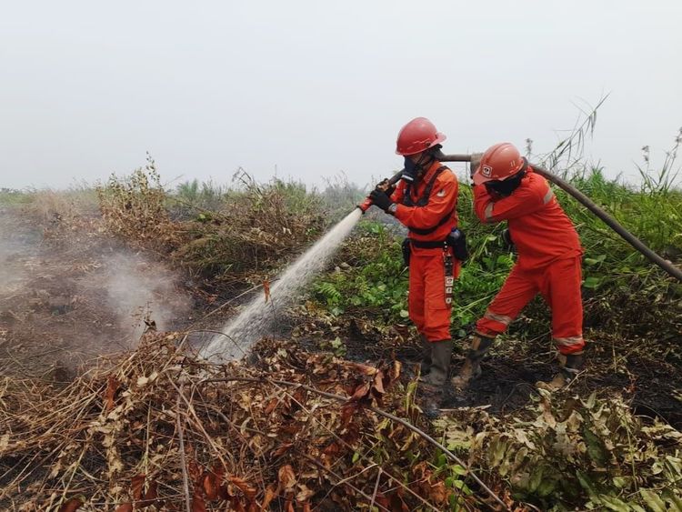 Hotspot Nasional 372 Titik, Kemenhut Perkuat Penanganan Lapangan dan Perlindungan TN Tanjung Puting