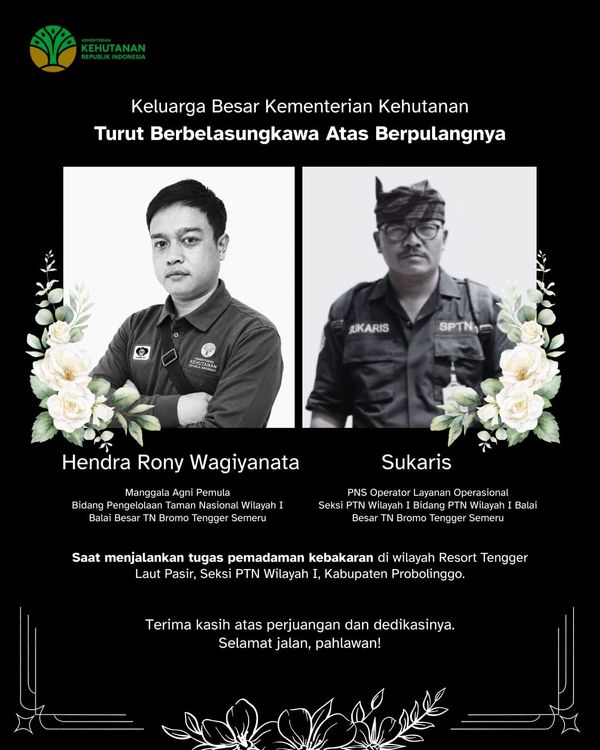 kemenhut-berduka-atas-gugurnya-empat-petugas-dan-relawan-saat-pemadaman-karhutla-di-bromo