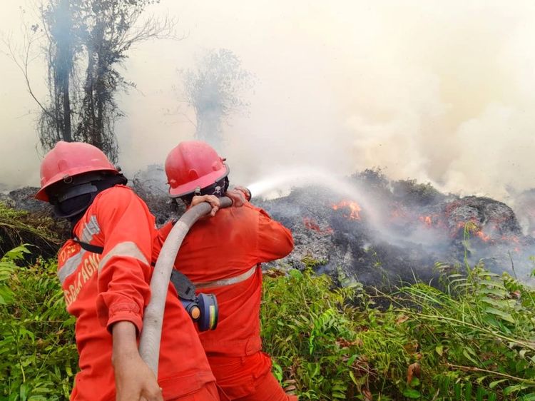 Hotspot Turun 84 Titik, Operasi Karhutla Tetap Diperkuat