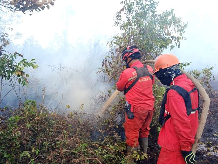 hotspot-naik-operasi-dan-perlindungan-satwa-diperkuat
