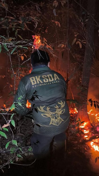 Dedikasi Rimbawan di Kalbar, Berjuang Padamkan Api dan Selamatkan Satwa