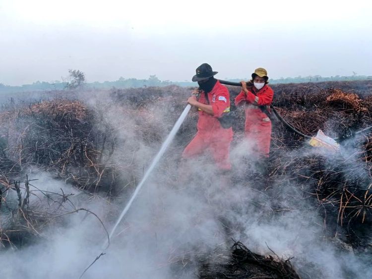 hotspot-turun-jadi-147-titik-hujan-mulai-turun-operasi-lapangan-tetap-berjalan