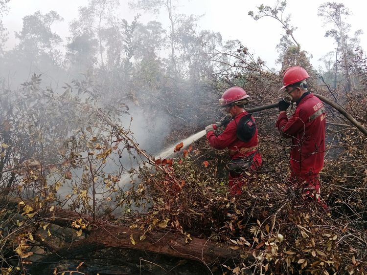 Hotspot Nasional Turun Jadi 79 Titik, Enam Provinsi Prioritas Nihil