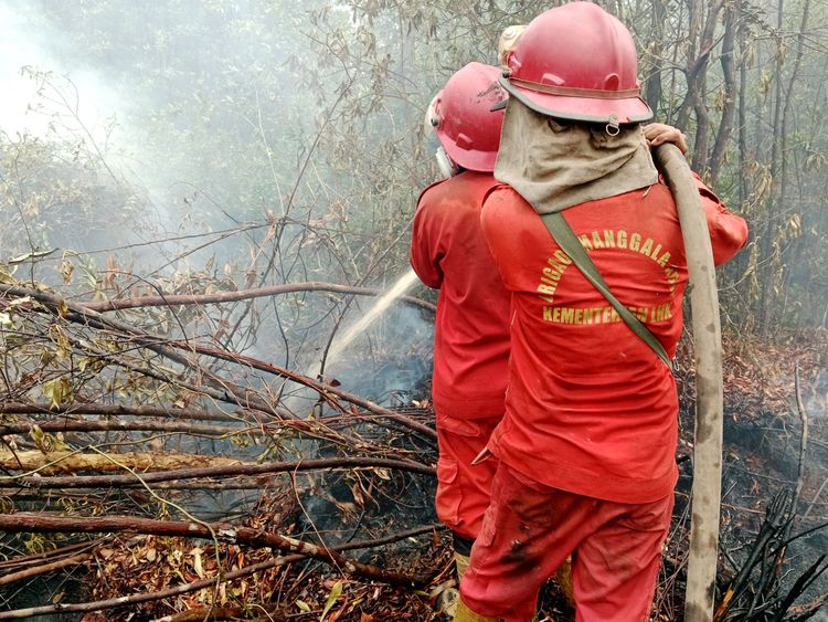 Hotspot Nasional 118 Titik, Enam Provinsi Prioritas Tetap Nihil