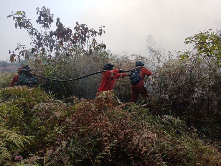 12-880-personel-gabungan-tangani-karhutla-di-kalimantan-kemenhut-perkuat-operasi-manggala-agni