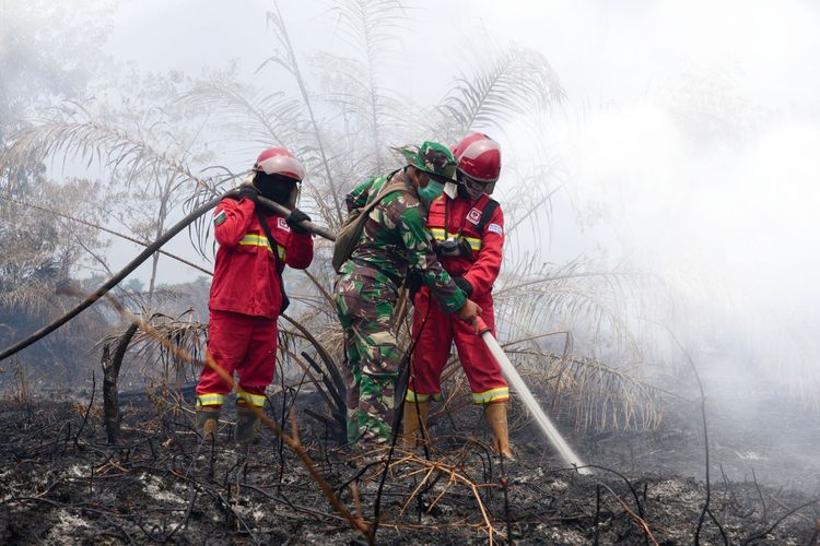 Update Terbaru Karhutla: Hotspot Menurun, Penanganan Diperkuat