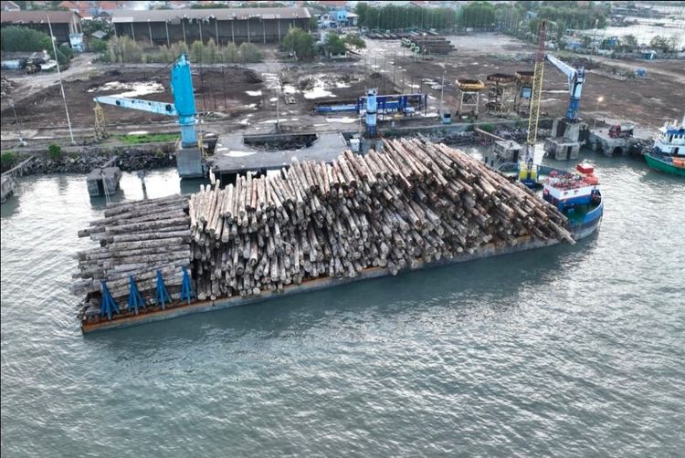 Berkas Perkara Lengkap, Kemenhut Siap Limpahkan Perkara Illegal Logging Ribuan Batang Kayu di Mentawai Sumbar ke Kejaksaan