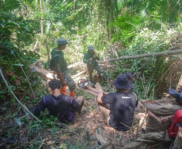 gakkum-kehutanan-tindak-pembalakan-liar-di-twa-mangolo-dua-orang-ditetapkan-tersangka