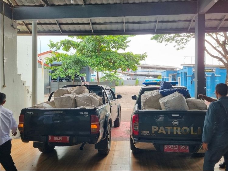 Gakkum Kehutanan Tahan Tersangka 3 Ton Sisik Trenggiling Tujuan Kamboja, Koordinasi INTERPOL Perkuat Pengungkapan Jaringan Lintas Negara