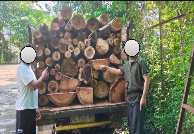 Gakkum Kehutanan dan Dishut Lampung Amankan Dua Pelaku Pembalakan Liar di Hutan Lindung Batu Serampok Register 17