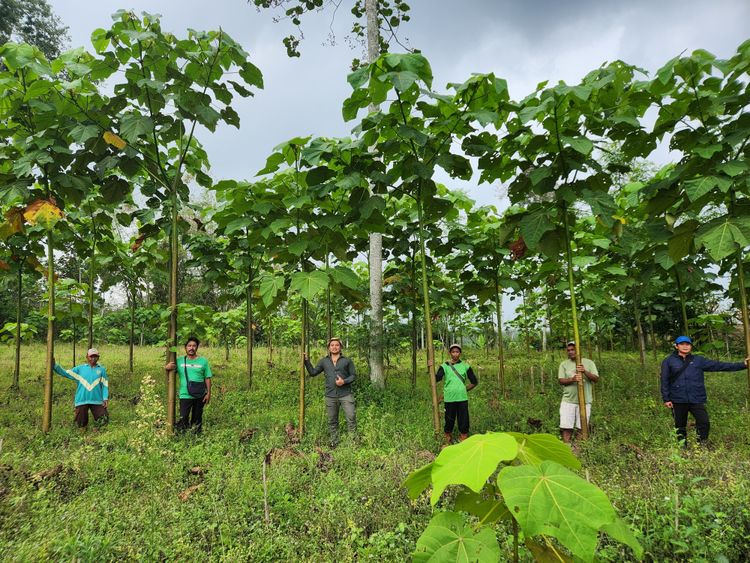 Peringatan Hari Penanggulangan Degradasi Lahan dan Kekeringan Tahun 2026: Indonesia Perkuat Peran Masyarakat dalam Pemulihan Hutan dan Lahan Berkelanjutan