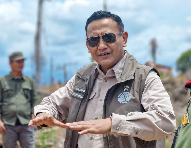 Wamenhut Tinjau Koridor Gajah Seblat, Tegaskan Komitmen Pemerintah Selamatkan Habitat Gajah Sumatera