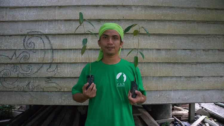 Cerita Relawan Soal Siklus Kebakaran Hutan di Kalimantan